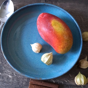 Ceramic plate hand-made, casserole dish
