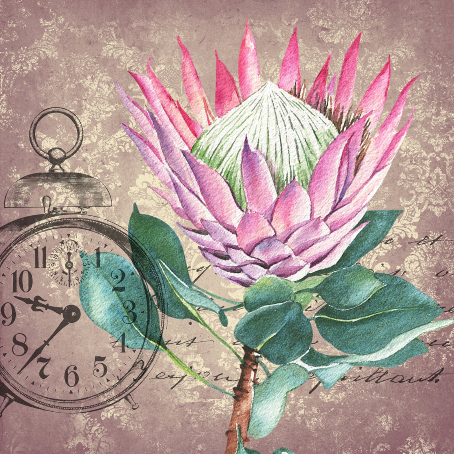 Printable Decoupage Designs Vintage Proteas Etsy