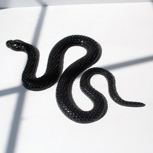 Black Snake Wall Hanging