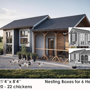 Planos de gallinero para jardín: Diseño de patio trasero (PDF)