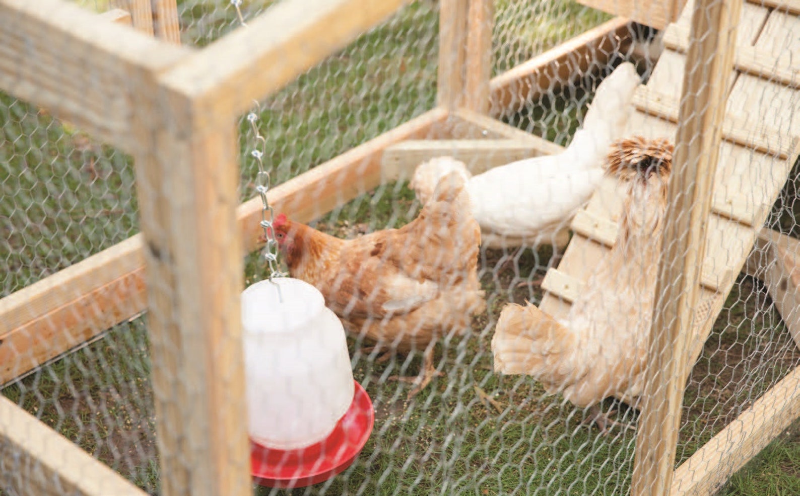 DIY Movable Chicken Coop Plans PDF 41x94 Etsy