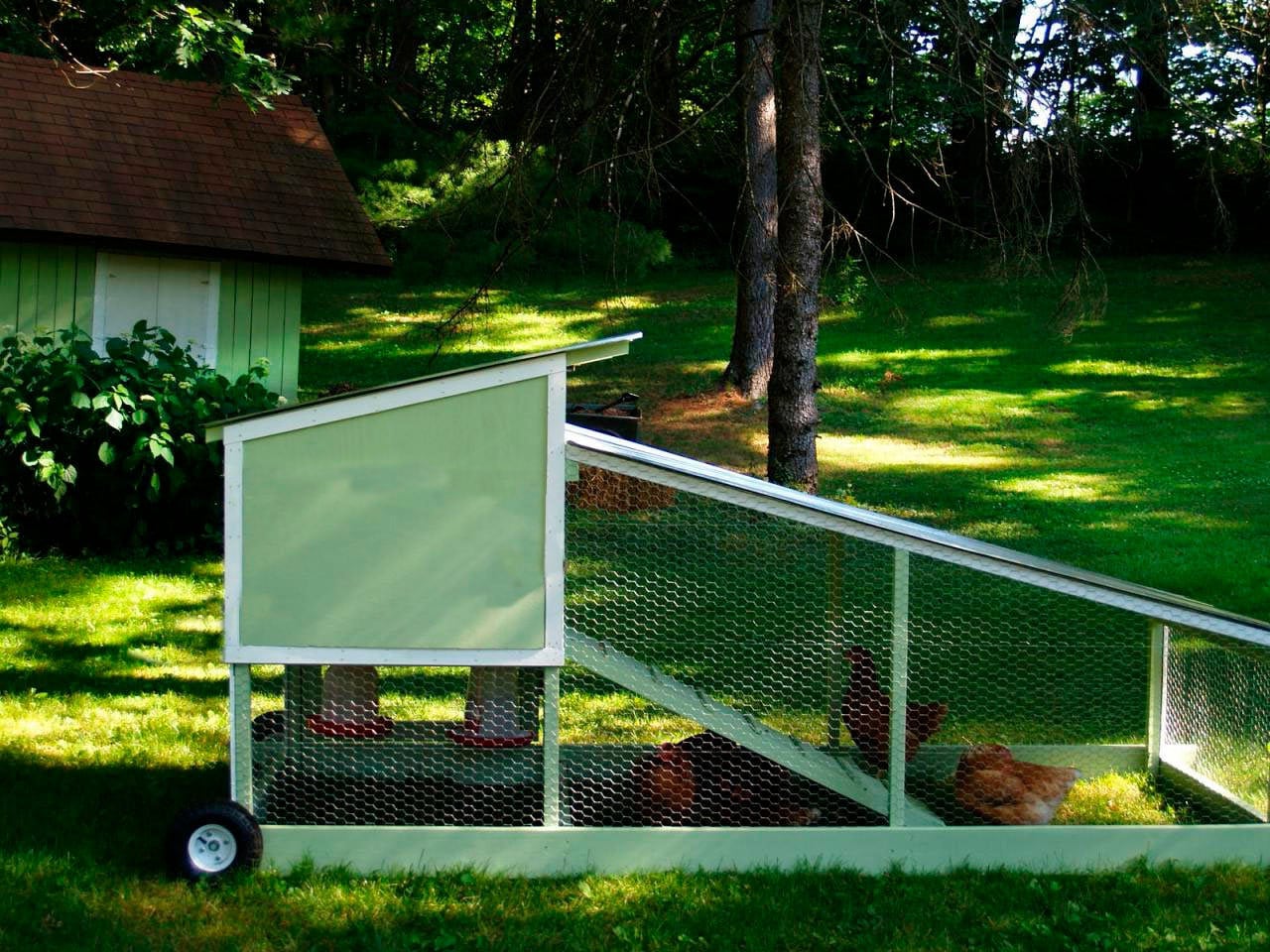10'x 4' Chicken Tractor Plans PDF Backyard Chicken Etsy
