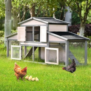 Chicken Coop Plans (PDF digital) - 45&quot;x90&quot; - Backyard Chicken Hutch