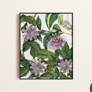 Passionfruit Flower and Vines Botanical Art Print, Collaged Vintage Passiflora Illustration Poster, Rustic Flower Vines Home Decor