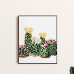 Vintage Kaktus Illustration Wandkunst, Kaktus Pflanzen botanische Kunstdruck, Retro Wüste Pflanzen Dekor, südwestliche Wüste Chic Home Decor