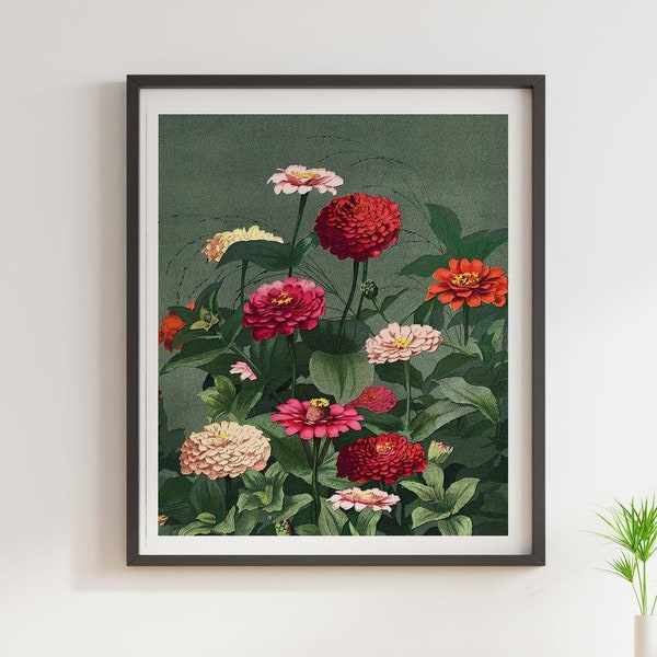 Zinnia Flowers Poster, Vintage Zinnias Illustration Wall Art, Botanical Print Wall Art, Living Room Poster, Bedroom Poster, Colorful Florals