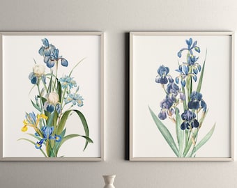 Conjunto de DOS conjuntos de impresión botánica de iris, decoración de pared a juego de iris de jardín azul, conjunto de carteles de acuarela de flores de primavera, conjunto de carteles de flores de iris
