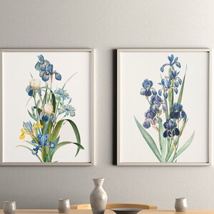 Set of TWO Iris Botanical Print Set, Blue Garden Iris Matching Wall Decor, Spring Flowers Watercolor Poster Set, Iris Flowers Poster Set