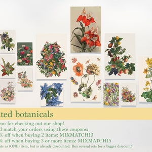 May include: A collection of 12 botanical illustrations featuring various flowers, plants, and fruits. The illustrations are framed in white and arranged in a grid pattern. The text "curated botanicals" is displayed below the images. The text "thank you for checking out our shop! mix and match your orders using these coupons: take 10% off when buying 2 items: MIXMATCH10 take 15% off when buying 3 or more items: MIXMATCH15 *Sets counts as (ONE) item, but is already discounted. Buy several sets for a bigger discount!" is displayed below the text "curated botanicals".