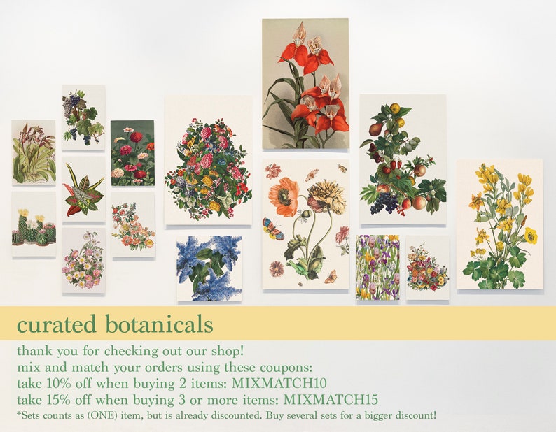May include: A collection of 12 botanical illustrations featuring various flowers, plants, and fruits. The illustrations are framed in white and arranged in a grid pattern. The text "curated botanicals" is displayed below the images. The text "thank you for checking out our shop! mix and match your orders using these coupons: take 10% off when buying 2 items: MIXMATCH10 take 15% off when buying 3 or more items: MIXMATCH15 *Sets counts as (ONE) item, but is already discounted. Buy several sets for a bigger discount!" is displayed below the text "curated botanicals".