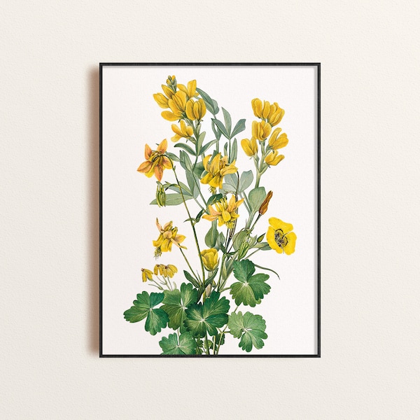 Yellow Wildflowers Illustration Home Decor, Vintage Style Botanical Print Collage, Yellow Florals Decor, Bright and Sunny Floral Print