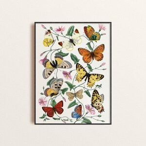 Vintage Butterflies Print Poster, Butterfies and Flowers IllustrationPoster, Cottagecme Decor, Bedroom Wall Art, Nature Inspired Pster