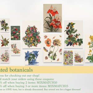 Op de afbeelding: Een verzameling botanische kunstprints met verschillende bloemen, vruchten en planten. De prints zijn in vintage stijl, met een cr&egrave;mekleurige achtergrond. De tekst "curated botanicals" staat onderaan.