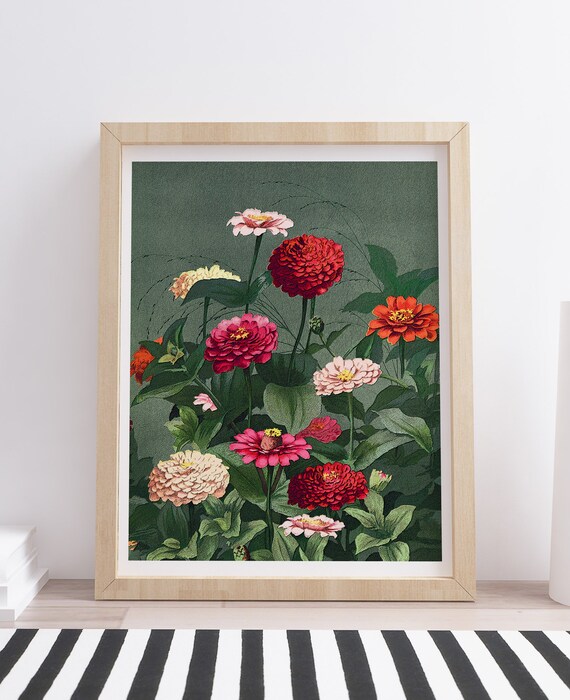 Vintage Zinnias Illustration Wall Art - Etsy