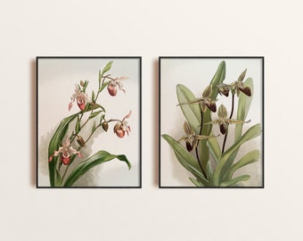 Ensemble de DEUX orchidées vintage Impression d’art botanique, Paire d’Orchidées Illustration Giclee Poster, Fleurs tropicales Art Print, Orchid Home Decor