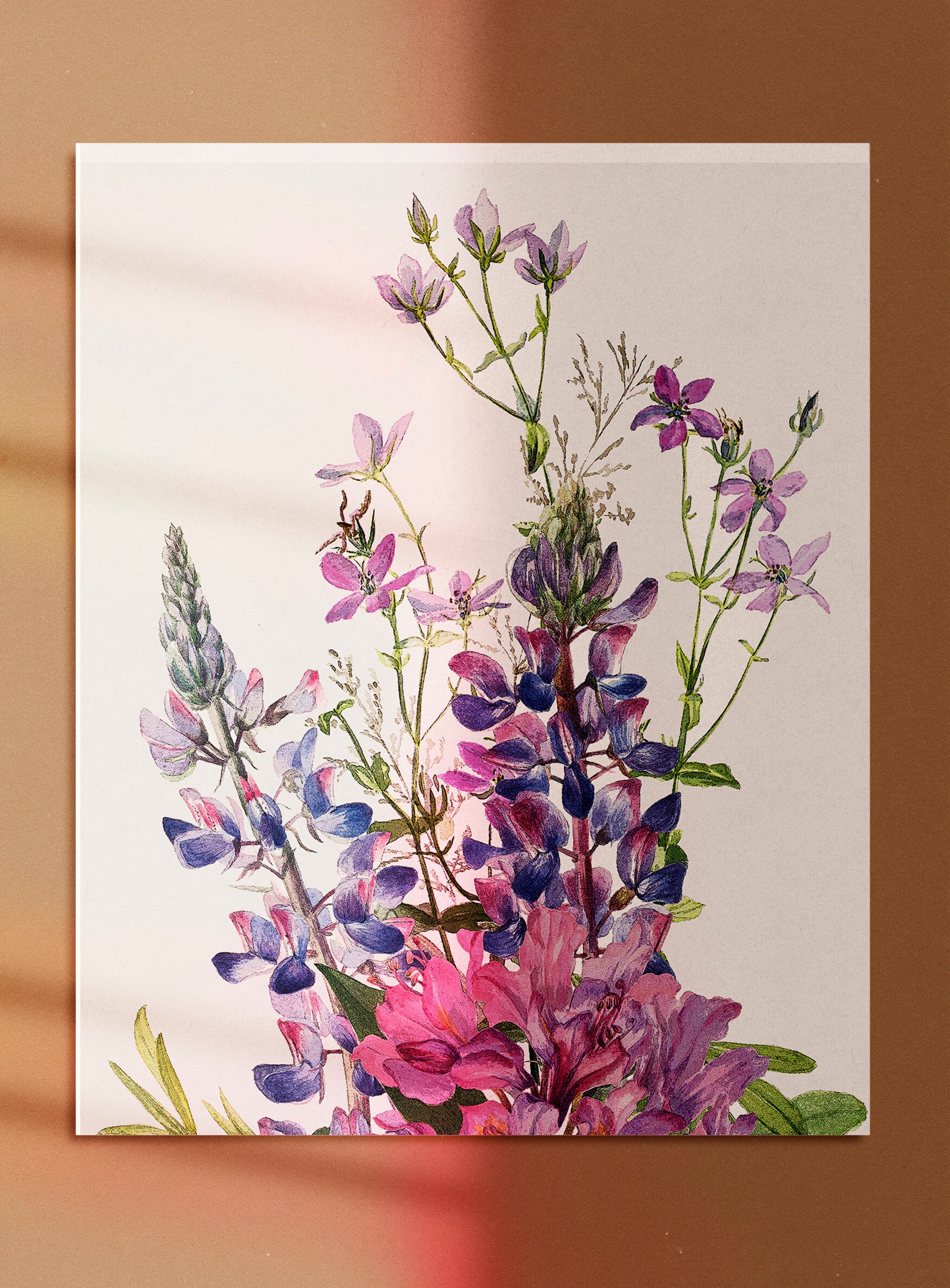 Pink and Purple Wildflowers Wall Art Antique Lupine Flower Etsy