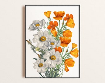 Golden Poppies Poster, California Poppy and Matilija Poppies Art Print, Spring Superbloom Wall Art, Wildflower Room Decor, California Flower