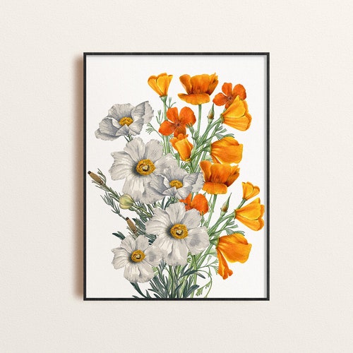 Vintage California Wall Art Print With Poppy Super Bloom Etsy