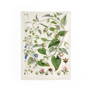 Vintage Botanisches Diagramm Druck Gobelin, Cottagecore BlumenRanken Kunst Wandbehang, Natur und Grün Wohndekor, Pflanzenliebhaber Wandkunst