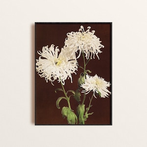 White Chrysanthemum Floral Print Poster, Spider Mums Art Print, Vintage Floral Botanical Poster Art Print, White Floral Wall Art