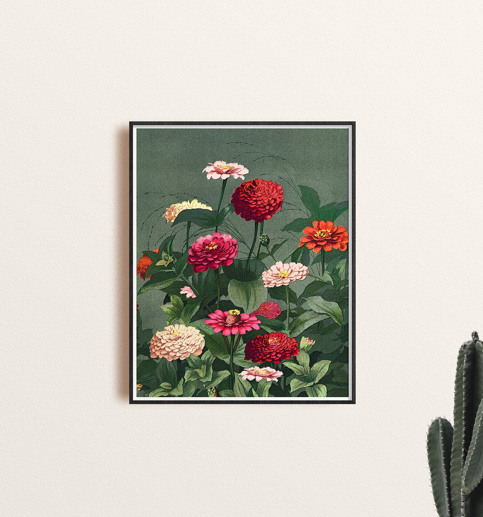 Vintage Zinnias Illustration Wall Art - Etsy