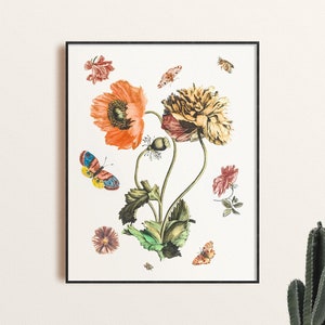 Poppies and Insects Illustration Art Print, Vintage Floral Print Collaged Poster, Cottagecore Room Decor, Watercolor Flower Art Print