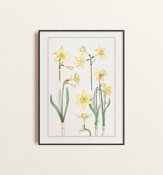 ボタニカルアート m.o.g.a_designstore 繊維壁320×250 #植物アート #壁画アート