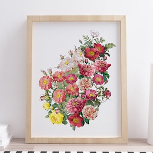 Multi Color Garden Roses Wall Art, Antique Roses Home Decor, Collaged Floral Art Print, Garden Style Home Decor, Shabby Chic Room Art