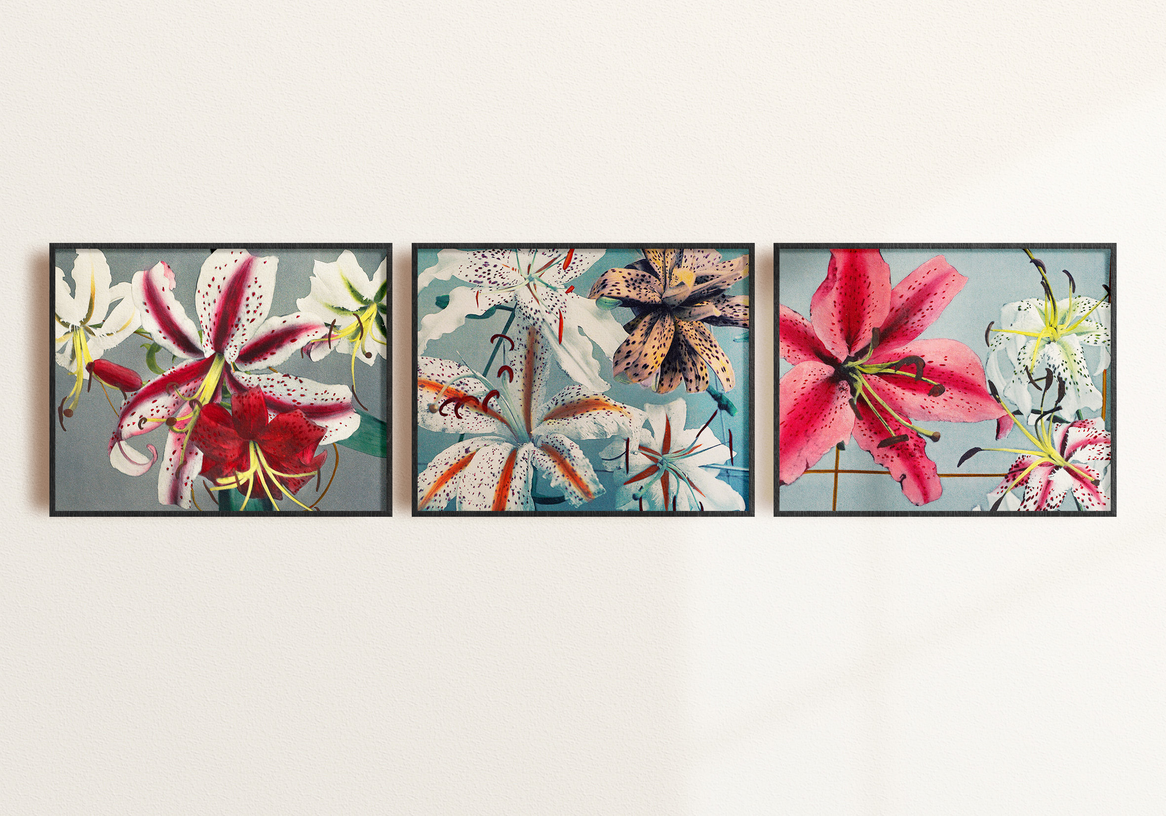 スターゲイザーリリーポスター3枚セット - Etsy 日本