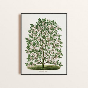 Free Printable Magnolia Botanicals - The Cottage Market