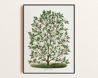 Magnolia Tree Print Poster, Vintage Magnolia Tree Illustration Wall Art, Magnolia Botanical Drawing Poster, Nature Inspired Home Decor