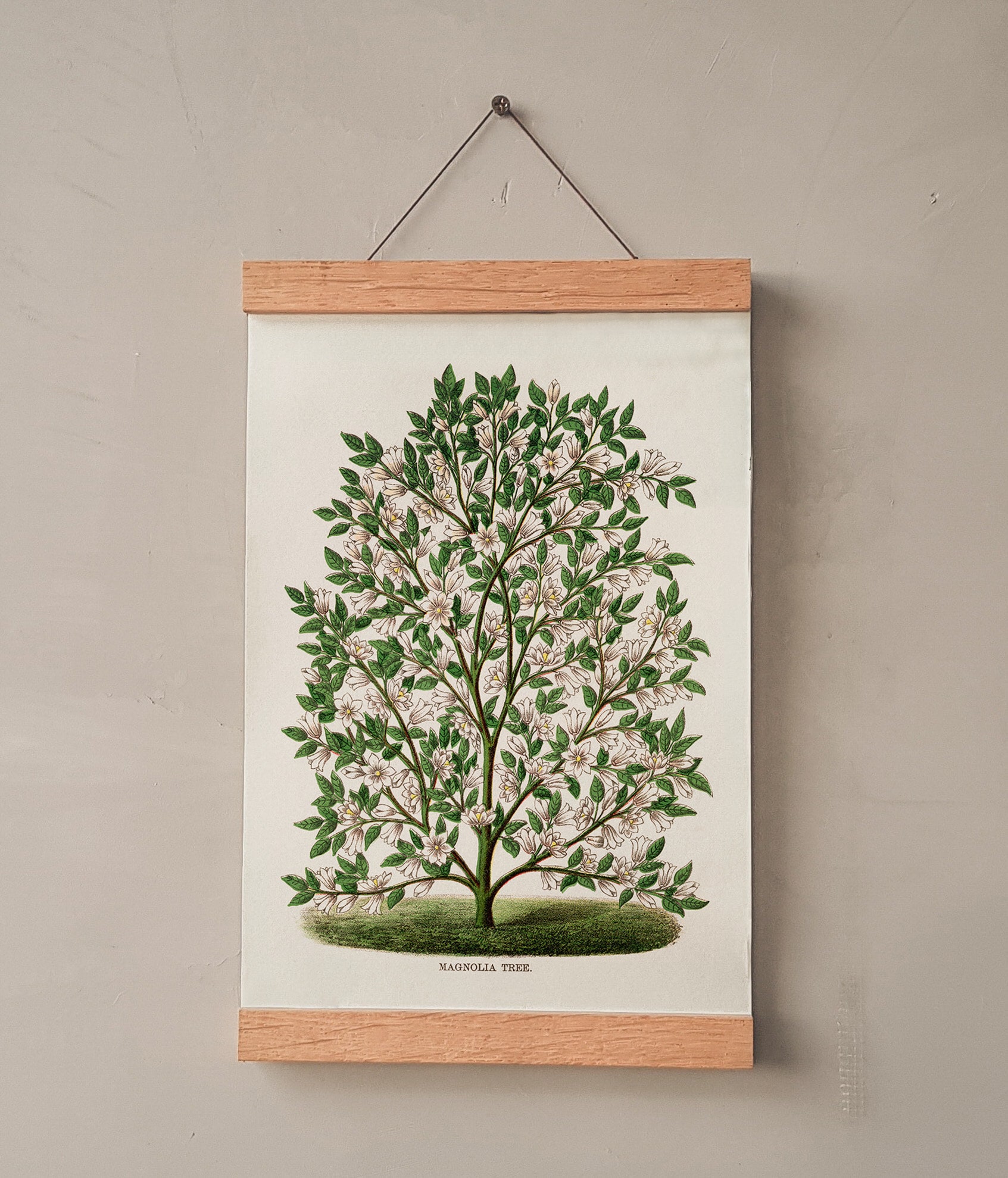 - Decor Magnolia Tree Art, Illustration Vintage Drawing Etsy Botanical Wall Magnolia Poster, Home Nature Magnolia Poster, Print Inspired Tree