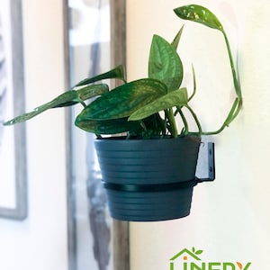 Puede incluir: Una maceta de plástico gris oscuro con una planta verde de hojas que cuelga de una pared blanca usando un soporte de pared de metal negro. La maceta tiene un anillo de metal negro alrededor de la parte superior. El texto "LINERY" es visible en la esquina inferior derecha de la imagen.