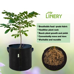 10-Pack 3 Gallon LINERY Planting Bag with Cover Black Heavy Duty Thickened Grow Bag with Handles Non-Woven Fabric Plant Pots image 8