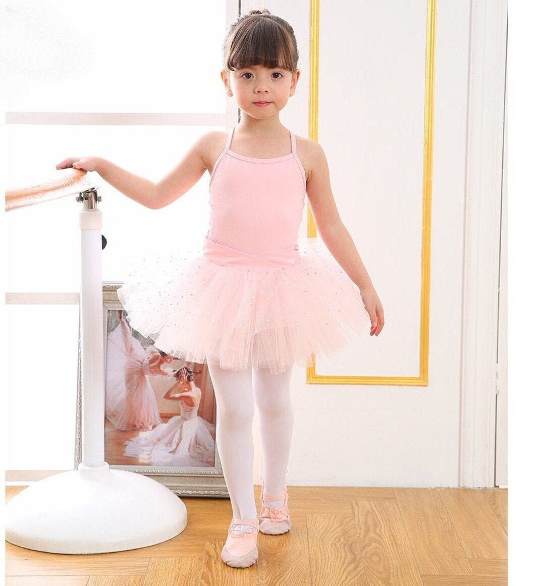 Toddler Ballerina Dance Leotard Tutu Dress in Pink / Children's Dance