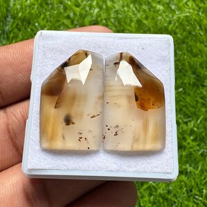 Könnte beinhalten: Zwei polierte, durchscheinende Edelsteine mit braunen und cremefarbenen Mustern. Die Steine ​​sind in einer weißen Ausstellungsbox mit grünem Gras-Hintergrund angeordnet. Die Edelsteine ​​haben eine geometrische Form mit flacher Oberseite.