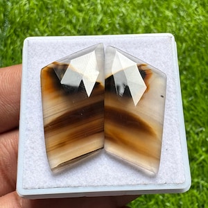 Könnte beinhalten: Zwei polierte Edelstein-Cabochons mit geometrischer Form. Die Steine weisen Schichten aus braunen und beigen Bändern mit klaren, facettierten Oberseiten auf. Sie werden in einer weißen, rechteckigen Box vor einem Hintergrund aus grünem Gras präsentiert.