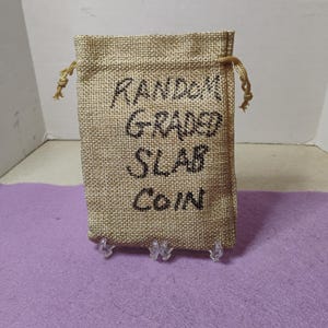 Random Graded Slabbed Coin Grab bag Customer will receive one coin  graded by PCGS, NGC,anacs, or icg