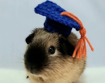 Custom Crochet Graduation Cap Hat for Guinea Pigs, Bunnies, Hamsters, Chinchillas, and Other Small Pets