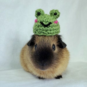 Crochet Frog Hat for Guinea Pigs, Bunnies, Gerbils, Hamsters, Chinchillas, and Other Small Pets / Small Handmade Hat Accessories