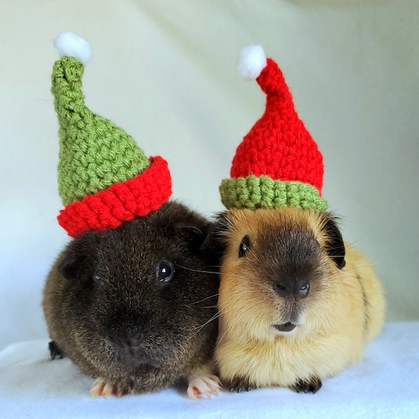 Crochet Elf Santa Hats for Guinea Pigs, Bunnies, Hamsters, Chinchillas, Cats, and Other Small Pets / Small Handmade Accessories for Pets