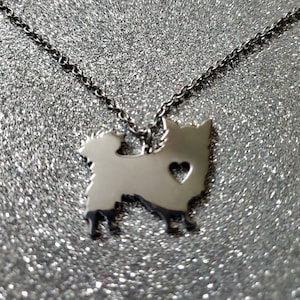 Stainless Steel Pomeranian Necklace: Dog Memorial Gift