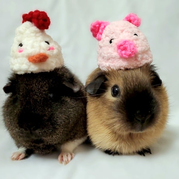 Crochet Chicken and Pig Hats for Guinea Pigs, Bunnies, Cats, Hamsters, Chinchillas, and Other Small Pets I Small Handmade Hat Accessories