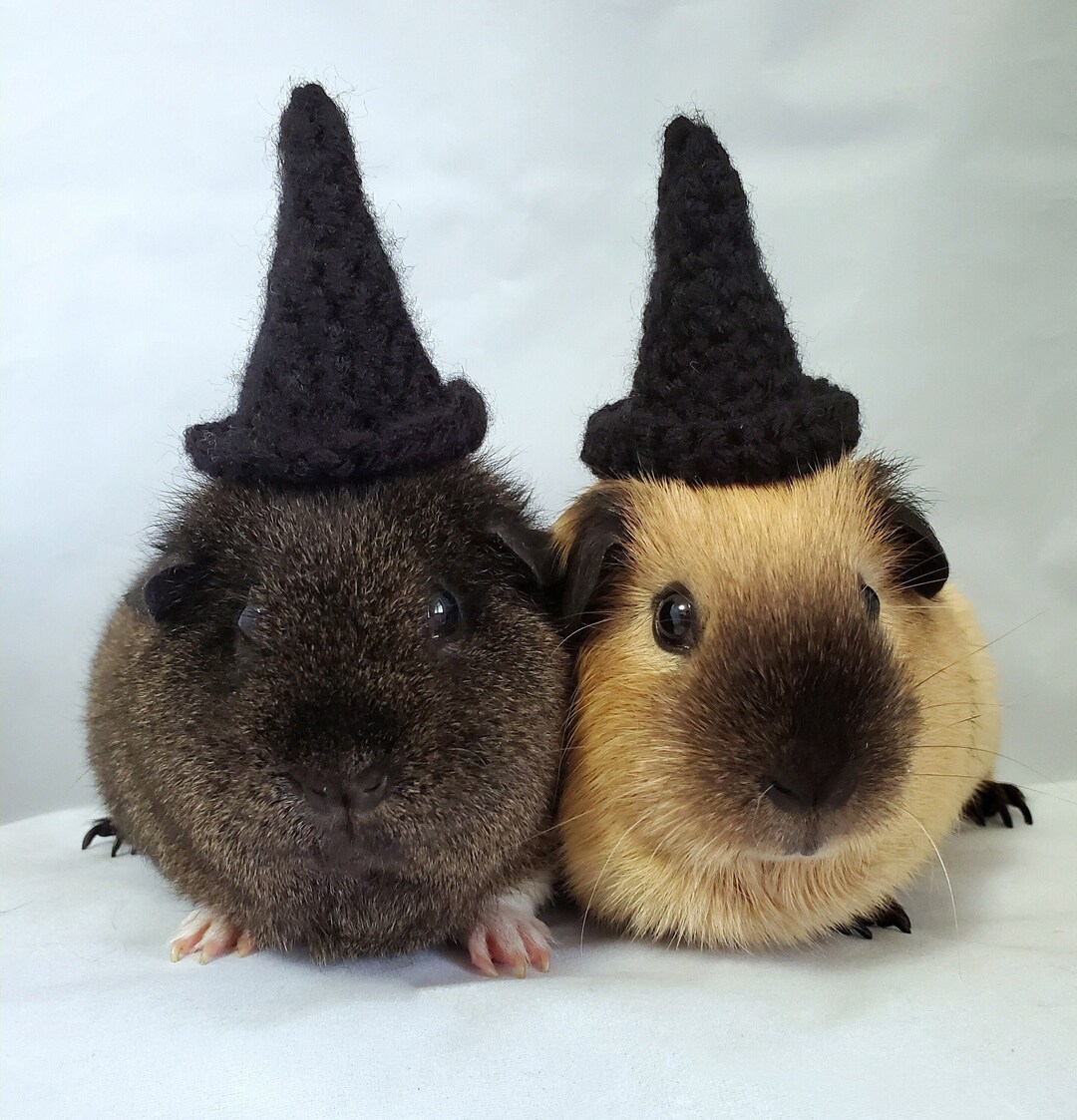 Crochet Witch Hats For Guinea Pigs Bunnies Hamsters Chinchillas Il 1080xN.5383295659 Syb1