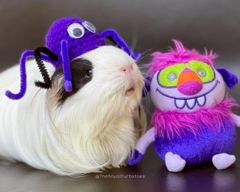 Conjunto de gorro de araña y fantasma de ganchillo: disfraz hecho a mano para mascotas pequeñas. imagen 3