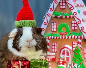 Crochet Elf Hat for Small Pets: Handmade Guinea Pig, Hamster, Cat Costume