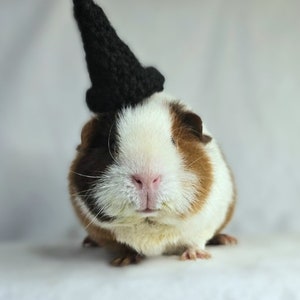 Crochet Witch Hats For Guinea Pigs Bunnies Hamsters Chinchillas Il 300x300.5383131835 N7ry