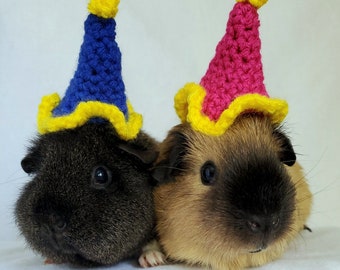Crochet Birthday Hats for Guinea Pigs, Bunnies, Hamsters, Chinchillas, and Other Small Pets / Small Handmade Hat Accessories for Pets