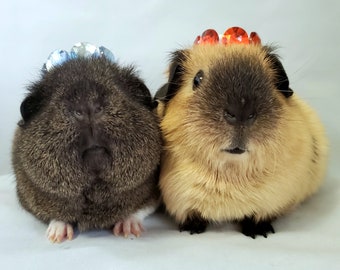 Handmade Jewel Pet Crown: Small Animal Hat Accessory