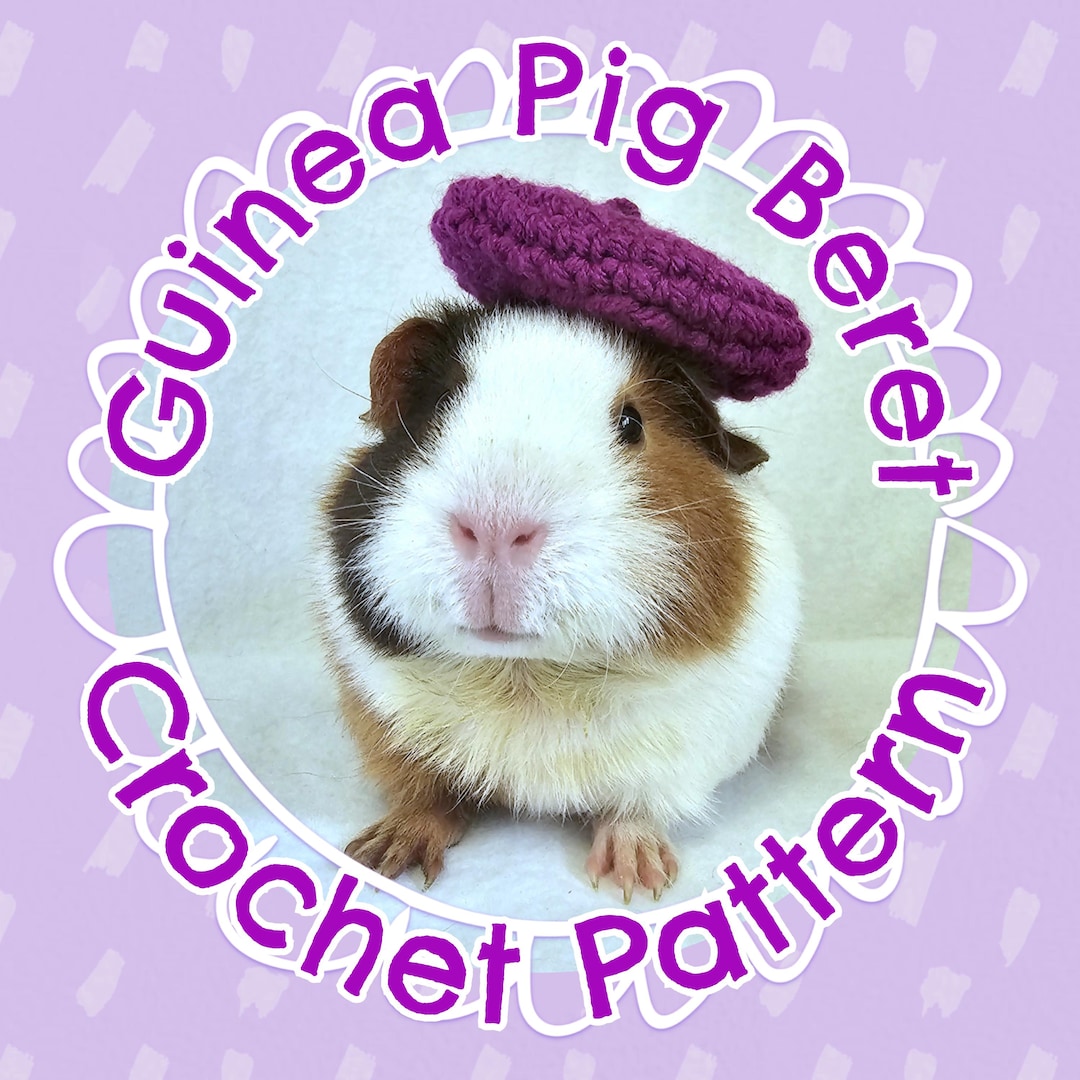 Curated visual reference: Visual Reference: Crochet Pattern No Sew Easy Guinea Pig Beret Hat For